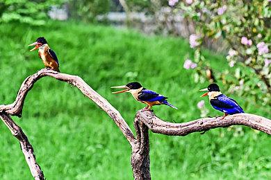 NS游戏《前线任务2：重制版》现已登陆其他平台